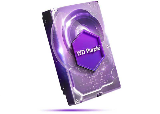 Western Digital Purple WD10PURZ Internal Hard Disk 1TB