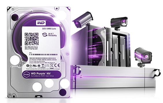 Western Digital Purple WD10PURZ Internal Hard Disk 1TB