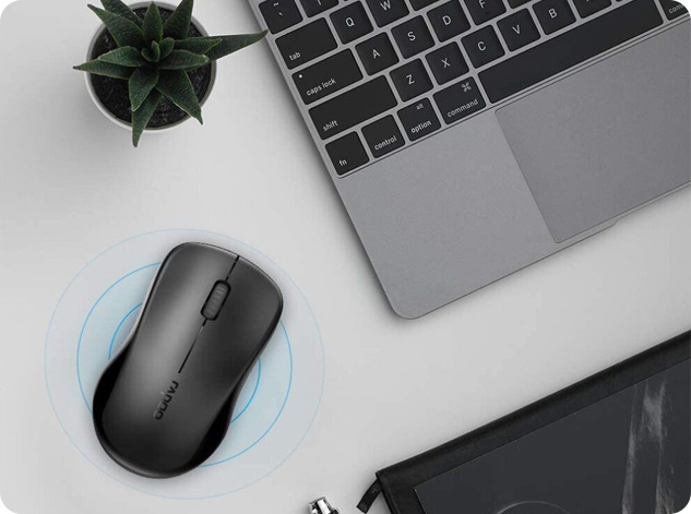 Rapoo 1680 Silent Wireless Optical Mouse