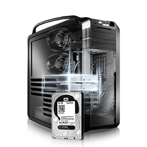 Western Digital Black WD1003FZEX Internal Hard Drive 1TB