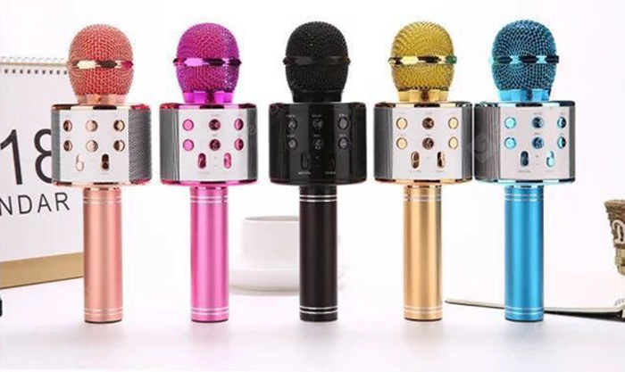 Wster WS-858 Wireless Handheld Microphone 