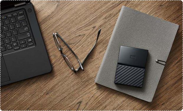 Western Digital My Passport WDBYNN0010B External Hard Drive - 1TB