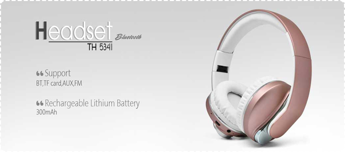 TSCO TH 5341 bluetooth headphone