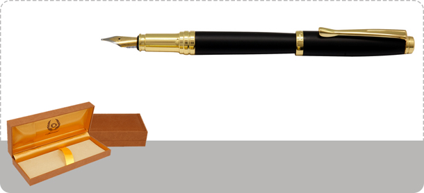 Iplomat Arena Fountain Pen