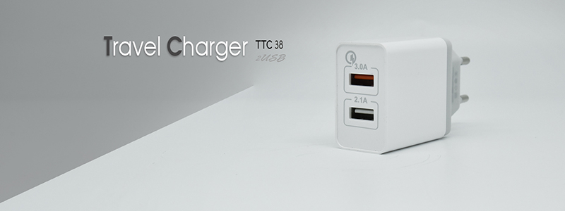 TSCO TTC 38 Wall Charger with microUSB Cable