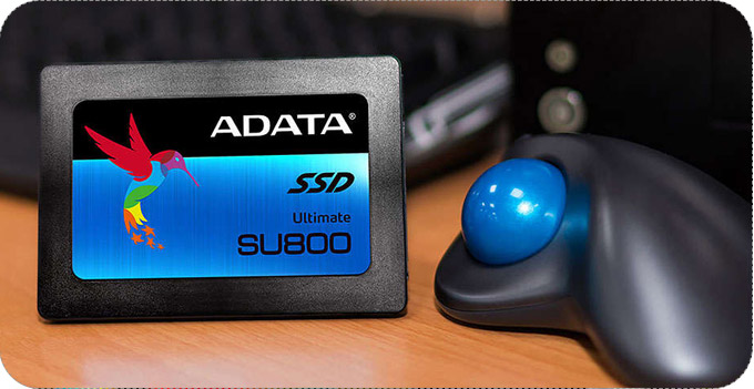 ADATA SU800 Internal SSD Drive-256GB