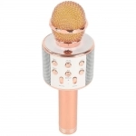 میکروفون اسپیکر وستر مدل WS-858