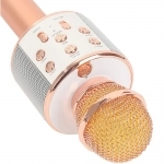 میکروفون اسپیکر وستر مدل WS-858