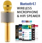 میکروفون اسپیکر وستر مدل WS-858