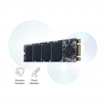 اس اس دی اینترنال لکسار مدل NM100 M.2 2280 ظرفیت 256 گیگابایت