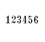 شماره زن انگلیسی رینر 6 رقمی مدل B6 شماره زن انگلیسی رینر 6 رقمی مدل B6