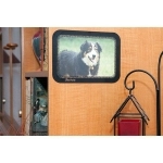 فریم پشت چسب دار کاغذ A4 تاریفولد بسته دو عددی