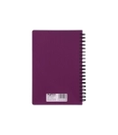 دفتر یادداشت دو خط 100 برگ پاپکو کد NB-643BC