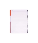 کاغذ کلاسور فارسی 100 برگ پاپکو کد NB-606-SHFA
