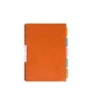 کاغذ کلاسور 100 برگ پاپکو مدل NB-625-SH
