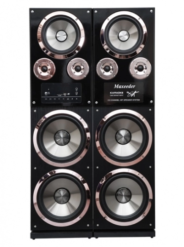 اسپیکر ایستاده مکسیدر مدل CN33 اسپیکر ایستاده مکسیدر مدل CN33