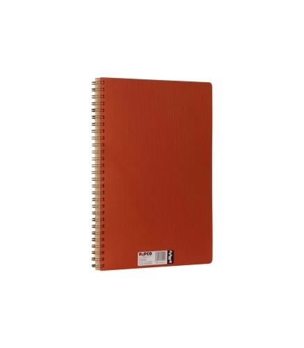 دفتر مشق 100 برگ پاپکو کد NB-620-2BC