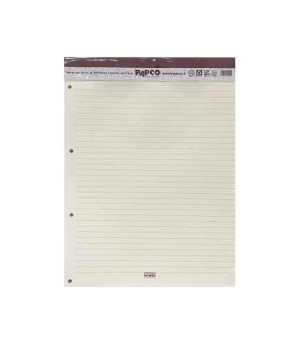 کاغذ یادداشت 60 برگ مدیریتی پاپکو کد WP672-60
